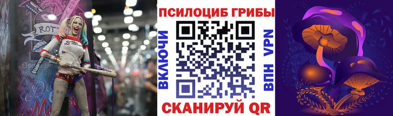 Псилоцибиновые грибы Psilocybine cubensis  OMG зеркало  Невель  наркотики 